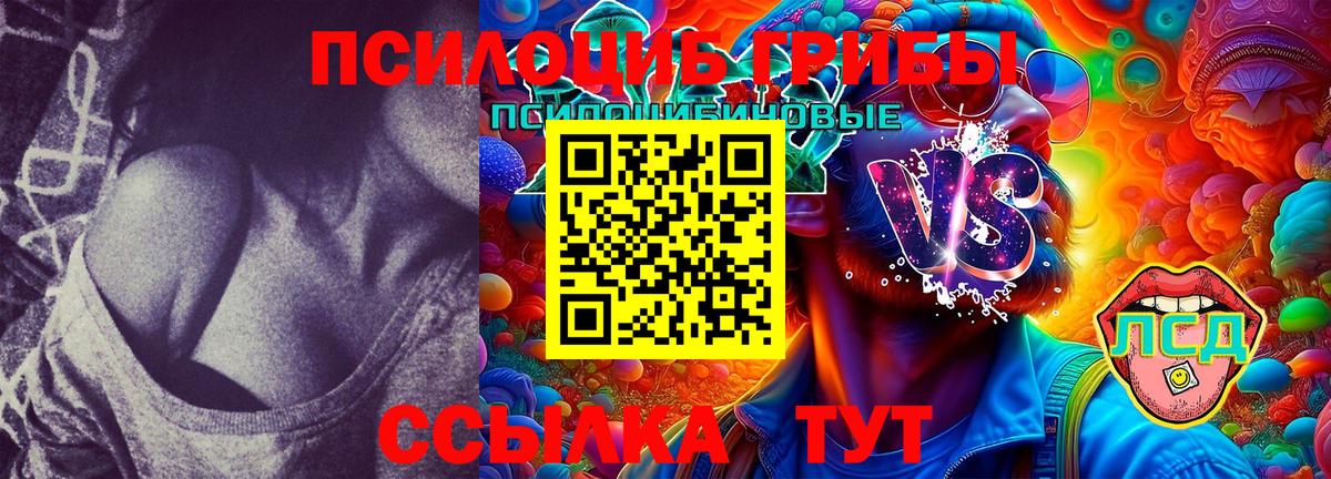 Псилоцибиновые грибы Psilocybe Усть-Илимск